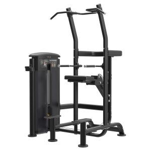 Elite Chin/Dip Assist Dual Select